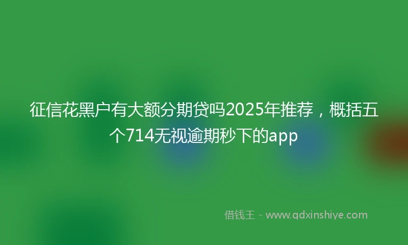 征信花黑户有大额分期贷吗2025年推荐，概括五个714无视逾期秒下的app