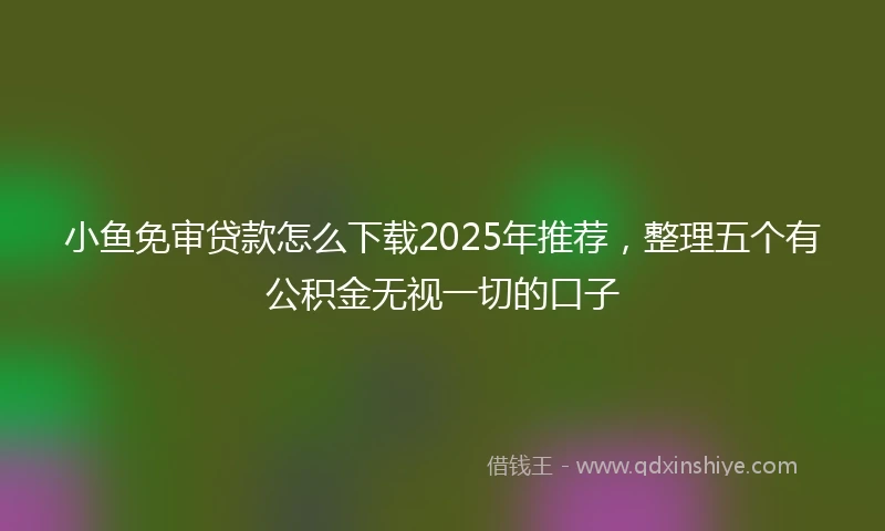 小鱼免审贷款怎么下载2025年推荐，整理五个有公积金无视一切的口子