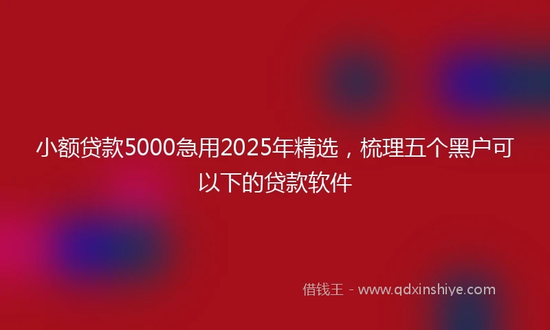 小额贷款5000急用2025年精选，梳理五个黑户可以下的贷款软件