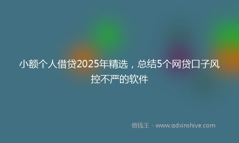 小额个人借贷2025年精选，总结5个网贷口子风控不严的软件