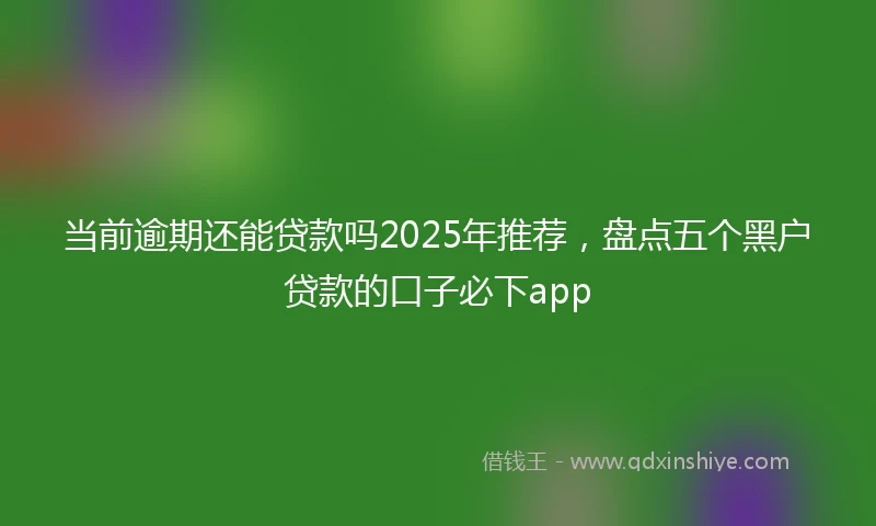 当前逾期还能贷款吗2025年推荐，盘点五个黑户贷款的口子必下app