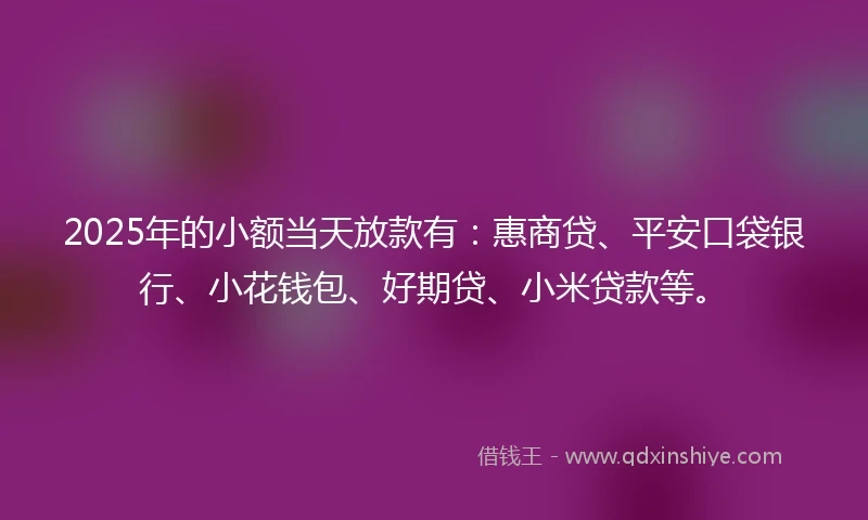 2025年的小额当天放款有：惠商贷、平安口袋银行、小花钱包、好期贷、小米贷款等。