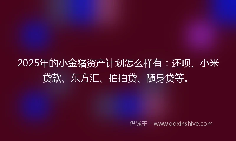 2025年的小金猪资产计划怎么样有：还呗、小米贷款、东方汇、拍拍贷、随身贷等。