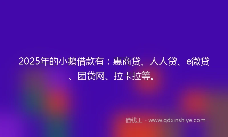 2025年的小鹅借款有:惠商贷、人人贷、e微贷、团贷网、拉卡拉等。