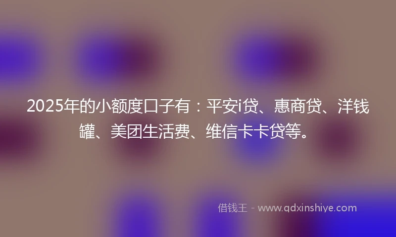 2025年的小额度口子有：平安i贷、惠商贷、洋钱罐、美团生活费、维信卡卡贷等。