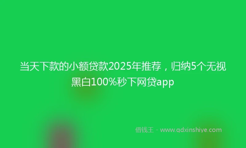 当天下款的小额贷款2025年推荐，归纳5个无视黑白100%秒下网贷app