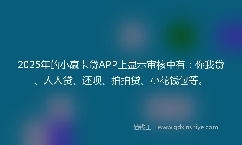 2025年的小赢卡贷APP上显示审核中有：你我贷、人人贷、还呗、拍拍贷、小花钱包等。