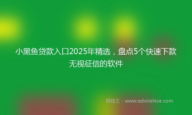 小黑鱼贷款入口2025年精选，盘点5个快速下款无视征信的软件