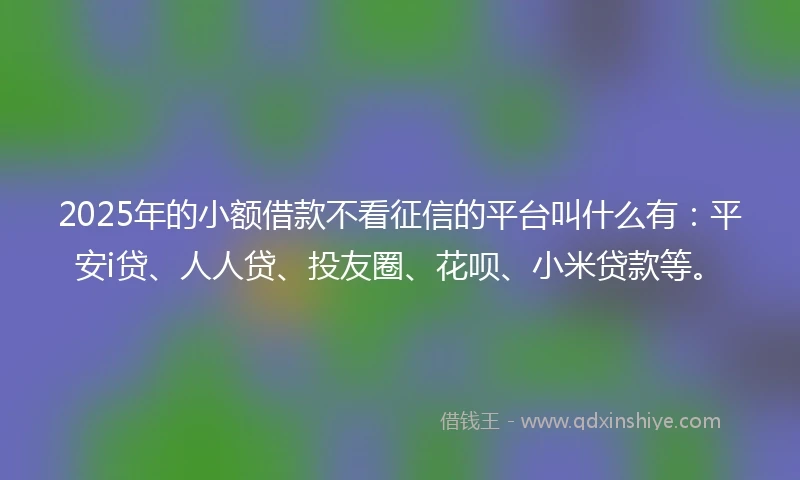 2025年的小额借款不看征信的平台叫什么有：平安i贷、人人贷、投友圈、花呗、小米贷款等。