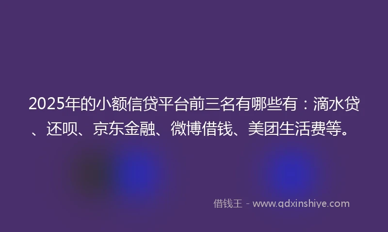 2025年的小额信贷平台前三名有哪些有：滴水贷、还呗、京东金融、微博借钱、美团生活费等。