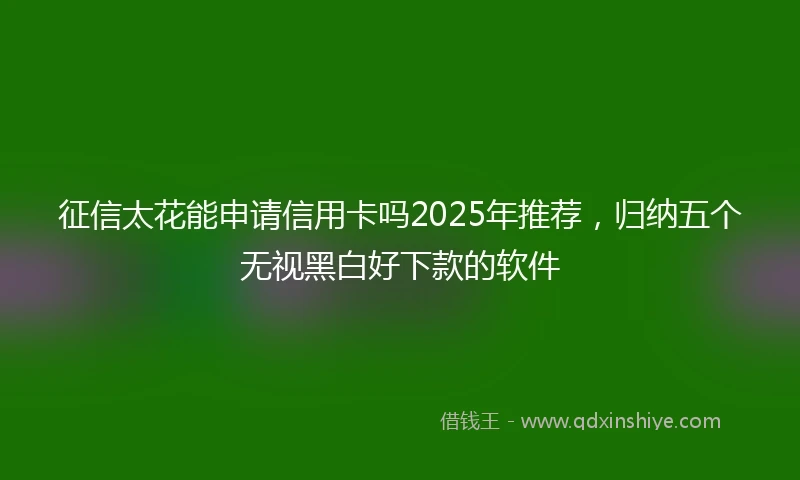 征信太花能申请信用卡吗2025年推荐，归纳五个无视黑白好下款的软件