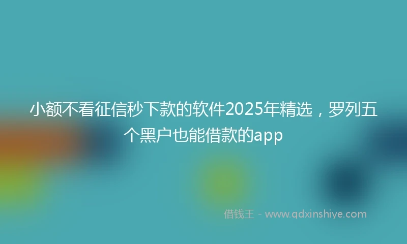 小额不看征信秒下款的软件2025年精选，罗列五个黑户也能借款的app