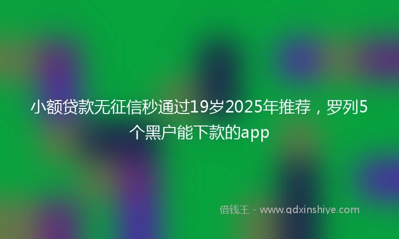 小额贷款无征信秒通过19岁2025年推荐，罗列5个黑户能下款的app