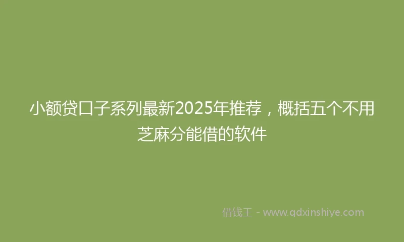 小额贷口子系列最新2025年推荐，概括五个不用芝麻分能借的软件