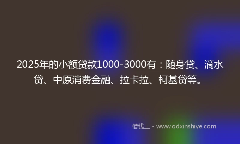 2025年的小额贷款1000-3000有：随身贷、滴水贷、中原消费金融、拉卡拉、柯基贷等。