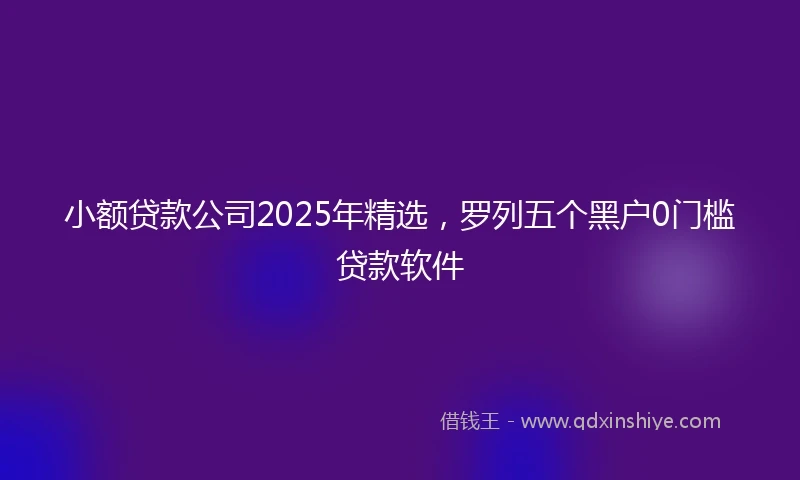 小额贷款公司2025年精选，罗列五个黑户0门槛贷款软件