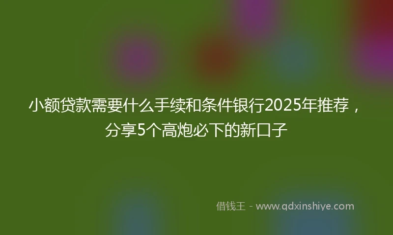 小额贷款需要什么手续和条件银行2025年推荐，分享5个高炮必下的新口子