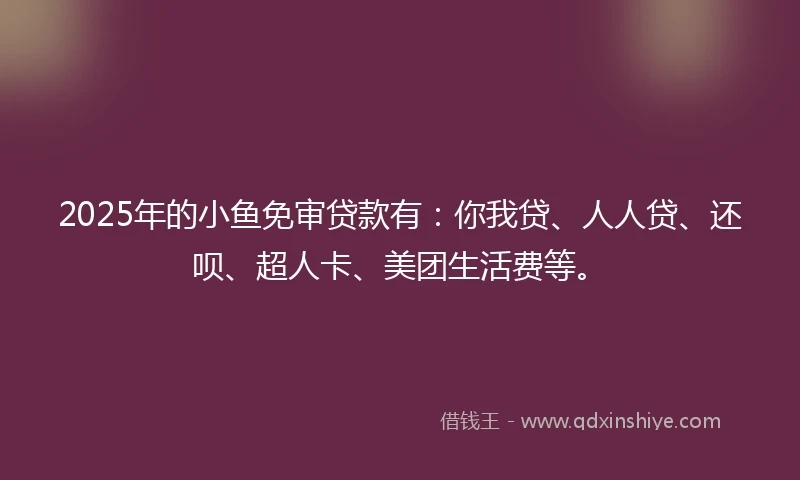 2025年的小鱼免审贷款有：你我贷、人人贷、还呗、超人卡、美团生活费等。