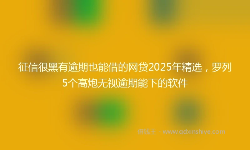 征信很黑有逾期也能借的网贷2025年精选，罗列5个高炮无视逾期能下的软件