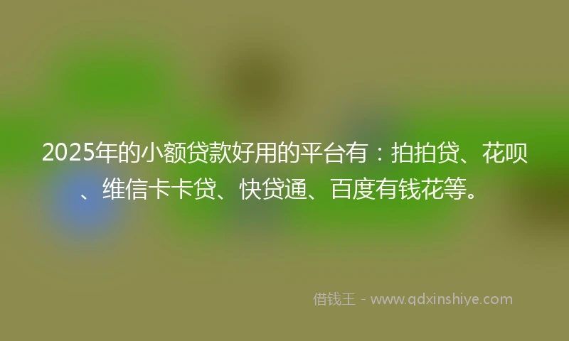 2025年的小额贷款好用的平台有：拍拍贷、花呗、维信卡卡贷、快贷通、百度有钱花等。