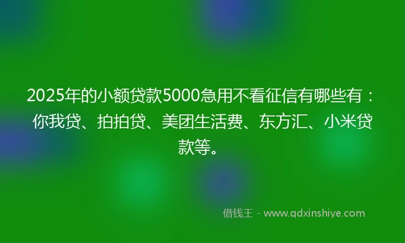 2025年的小额贷款5000急用不看征信有哪些有：你我贷、拍拍贷、美团生活费、东方汇、小米贷款等。