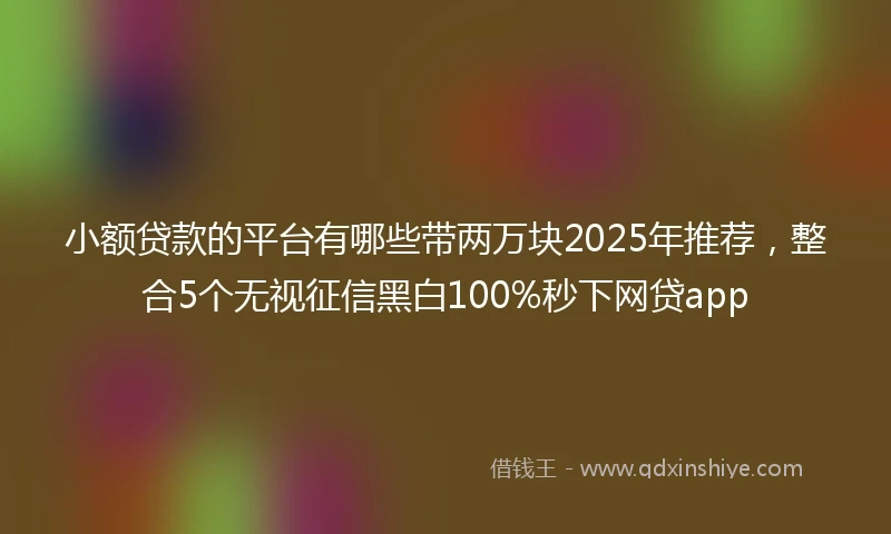 小额贷款的平台有哪些带两万块2025年推荐，整合5个无视征信黑白100%秒下网贷app