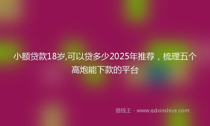 小额贷款18岁,可以贷多少2025年推荐，梳理五个高炮能下款的平台
