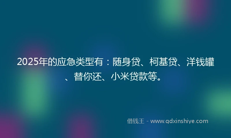 2025年的应急类型有：随身贷、柯基贷、洋钱罐、替你还、小米贷款等。