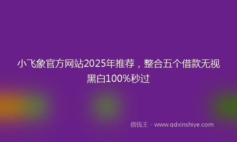 小飞象官方网站2025年推荐，整合五个借款无视黑白100%秒过