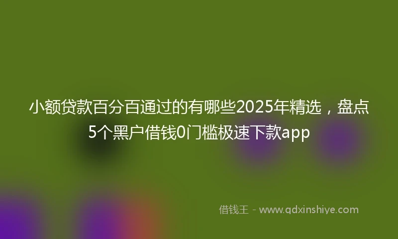 小额贷款百分百通过的有哪些2025年精选，盘点5个黑户借钱0门槛极速下款app