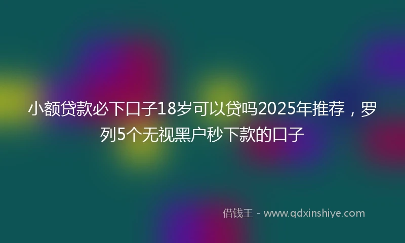 小额贷款必下口子18岁可以贷吗2025年推荐,罗列5个无视黑户秒下款的口子