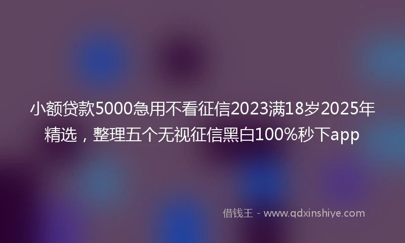 小额贷款5000急用不看征信2023满18岁2025年精选，整理五个无视征信黑白100%秒下app