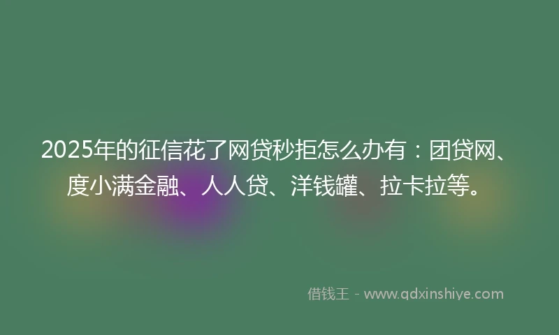 2025年的征信花了网贷秒拒怎么办有：团贷网、度小满金融、人人贷、洋钱罐、拉卡拉等。