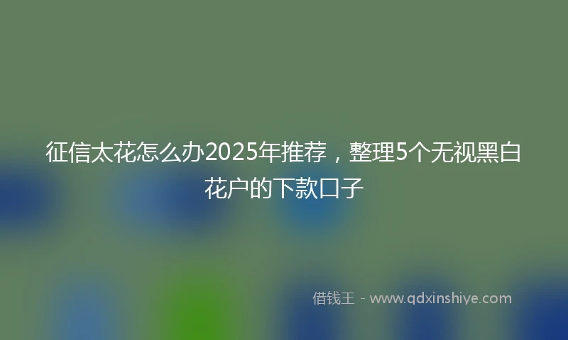 征信太花怎么办2025年推荐，整理5个无视黑白花户的下款口子