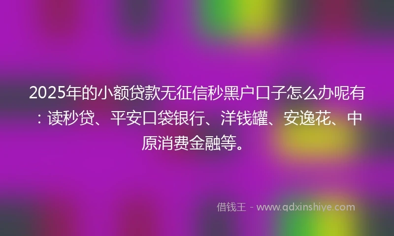 2025年的小额贷款无征信秒黑户口子怎么办呢有：读秒贷、平安口袋银行、洋钱罐、安逸花、中原消费金融等。