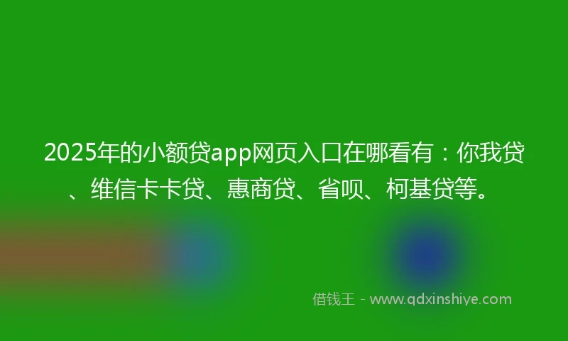 2025年的小额贷app网页入口在哪看有：你我贷、维信卡卡贷、惠商贷、省呗、柯基贷等。