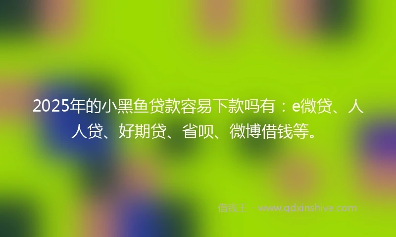 2025年的小黑鱼贷款容易下款吗有：e微贷、人人贷、好期贷、省呗、微博借钱等。