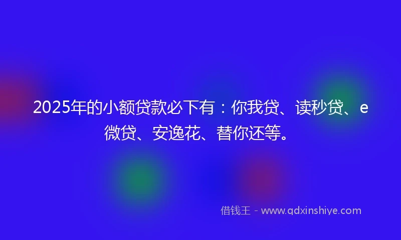 2025年的小额贷款必下有：你我贷、读秒贷、e微贷、安逸花、替你还等。