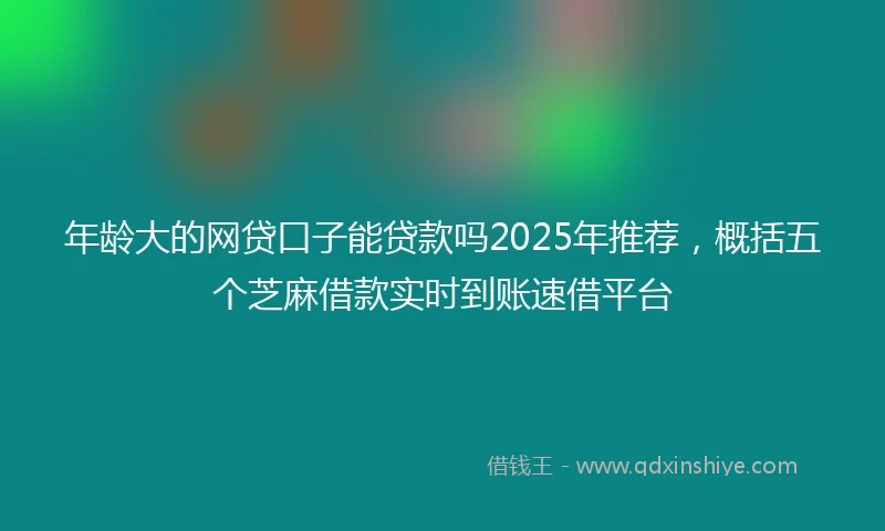 年龄大的网贷口子能贷款吗2025年推荐，概括五个芝麻借款实时到账速借平台