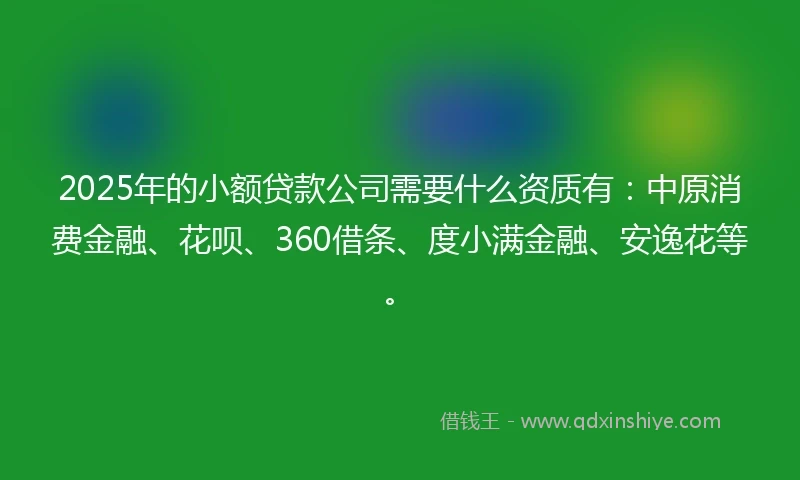 2025年的小额贷款公司需要什么资质有：中原消费金融、花呗、360借条、度小满金融、安逸花等。