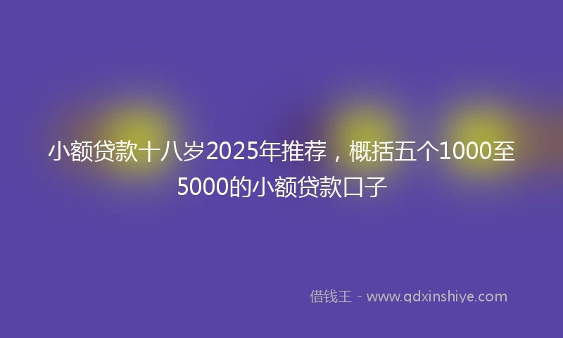 小额贷款十八岁2025年推荐，概括五个1000至5000的小额贷款口子