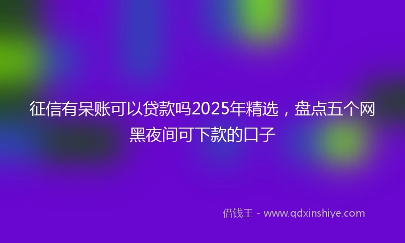 征信有呆账可以贷款吗2025年精选，盘点五个网黑夜间可下款的口子