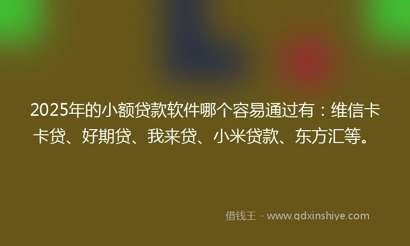2025年的小额贷款软件哪个容易通过有：维信卡卡贷、好期贷、我来贷、小米贷款、东方汇等。