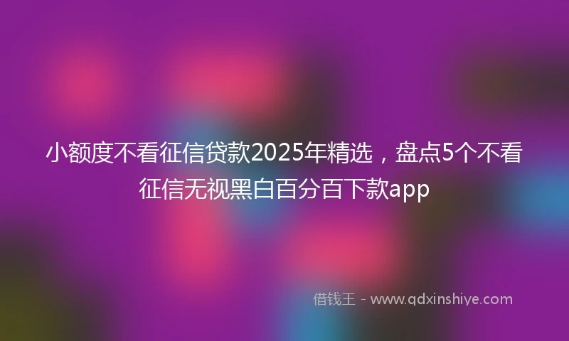 小额度不看征信贷款2025年精选，盘点5个不看征信无视黑白百分百下款app