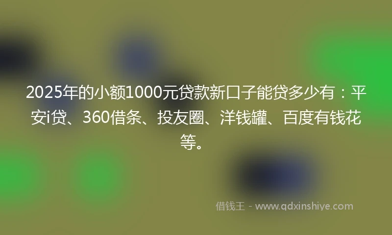 2025年的小额1000元贷款新口子能贷多少有：平安i贷、360借条、投友圈、洋钱罐、百度有钱花等。