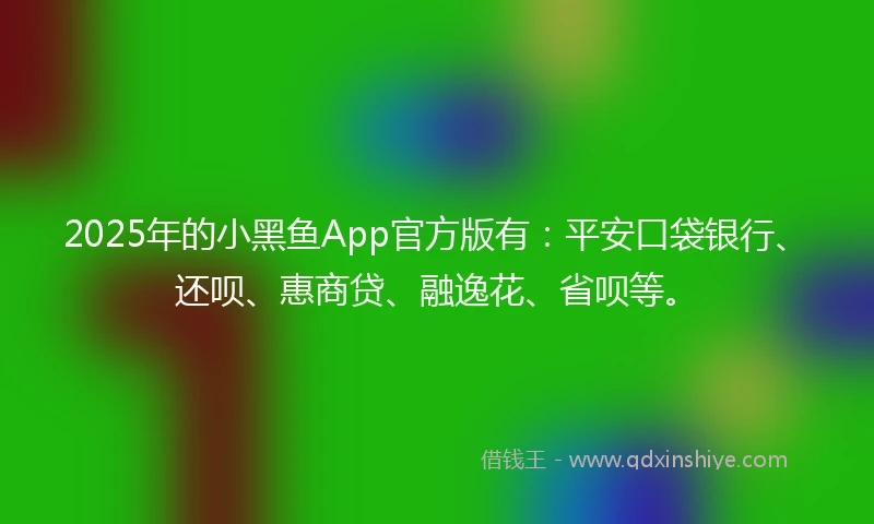 2025年的小黑鱼App官方版有：平安口袋银行、还呗、惠商贷、融逸花、省呗等。