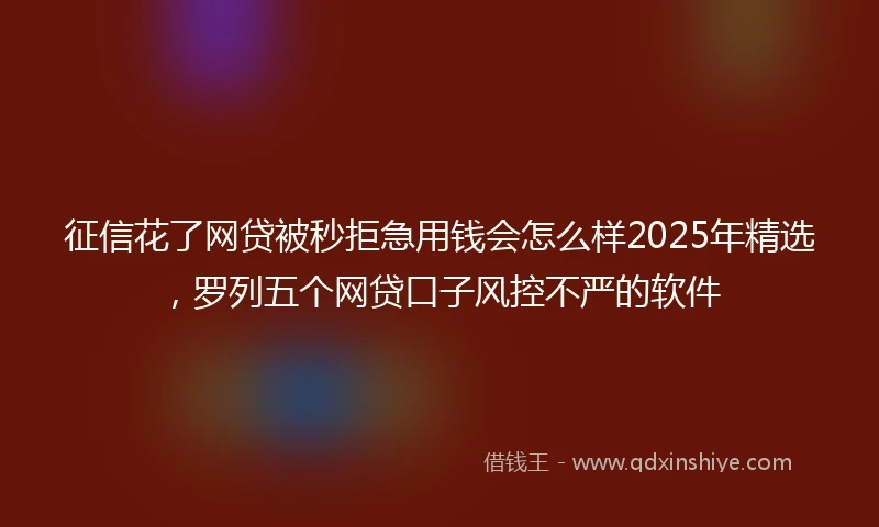 征信花了网贷被秒拒急用钱会怎么样2025年精选，罗列五个网贷口子风控不严的软件