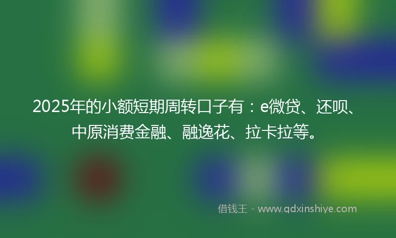 2025年的小额短期周转口子有：e微贷、还呗、中原消费金融、融逸花、拉卡拉等。