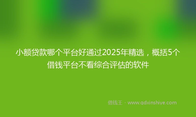 小额贷款哪个平台好通过2025年精选，概括5个借钱平台不看综合评估的软件