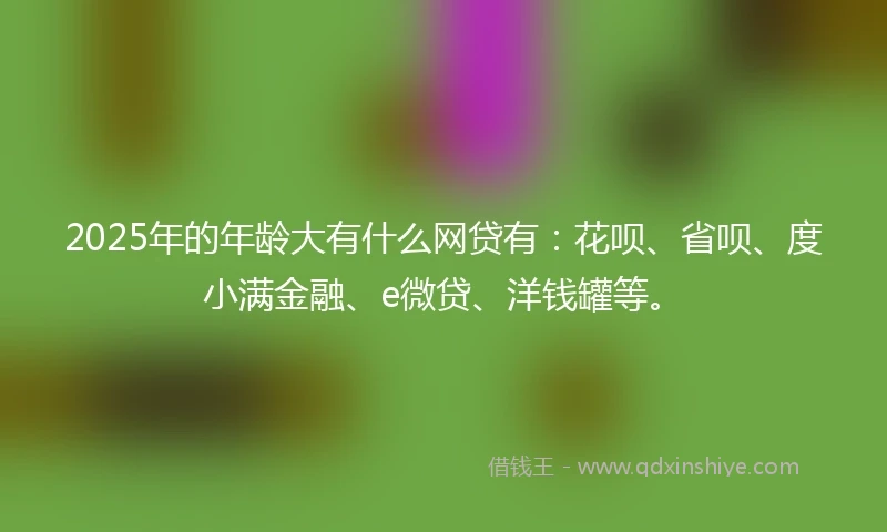 2025年的年龄大有什么网贷有：花呗、省呗、度小满金融、e微贷、洋钱罐等。